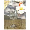 Plastic Wine Glasses Set of 4 (22oz), BPA Free Tritan Hammer Wine Glass Set, Unbreakable Red Wine Glasses, White Wine Glasses